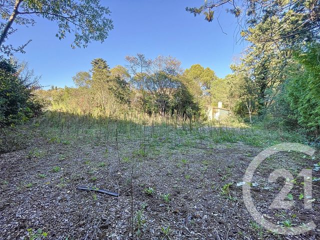 maison à vendre - 10 pièces - 273.95 m2 - BAILLARGUES - 34 - LANGUEDOC-ROUSSILLON - Century 21 Agence Soleil