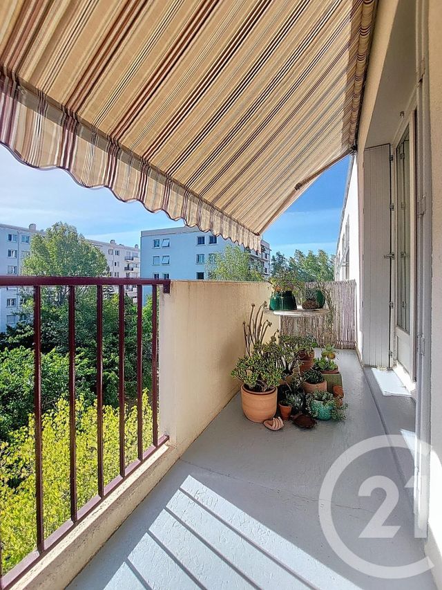 appartement - MONTPELLIER - 34